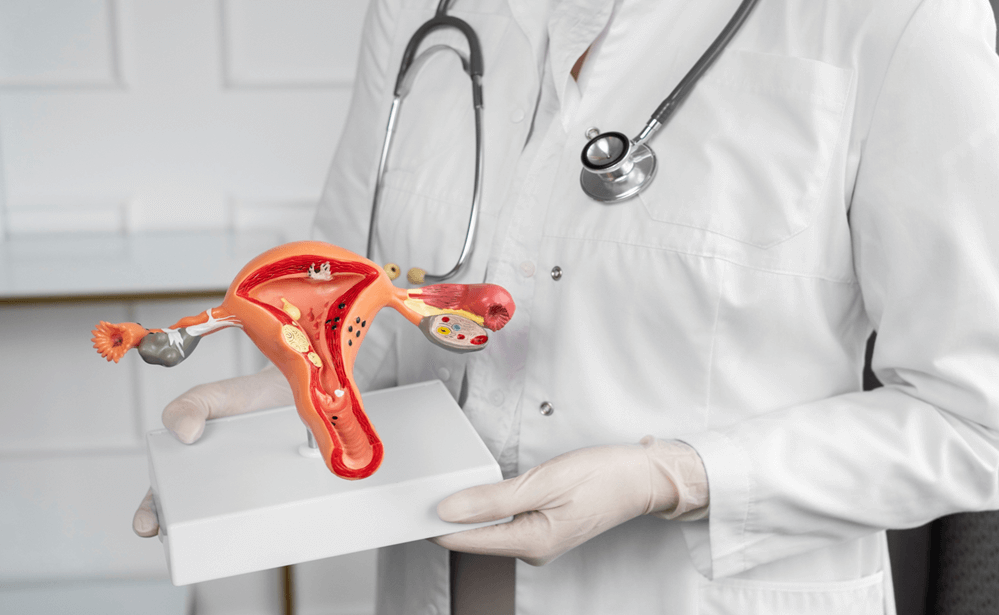 Fibroid Treatment
Comprehensive diagnosis and minimally invasive treatment for uterine fibroids, helping reduce pain, heavy bleeding, and fertility-related complications.
READ MORE