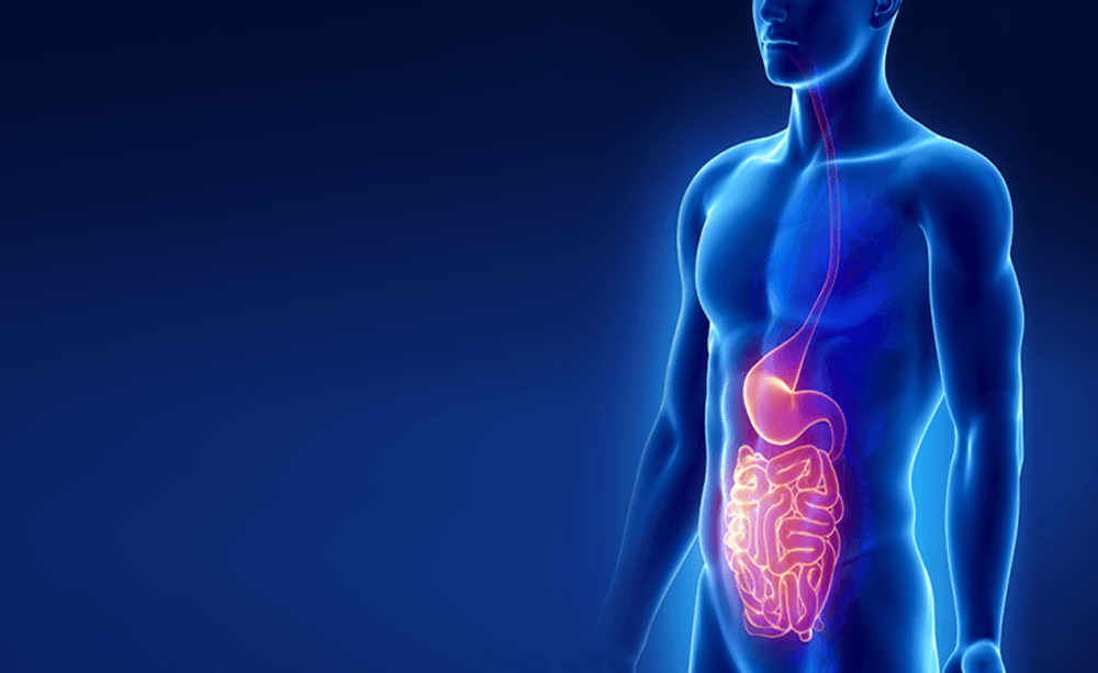 Gastroenterology
Gastroenterology surgery addresses diseases of the digestive system—stomach, intestines, liver, pancreas. It helps relieve symptoms like abdominal pain, bleeding, or blockages and improves overall gastrointestinal health.
READ MORE