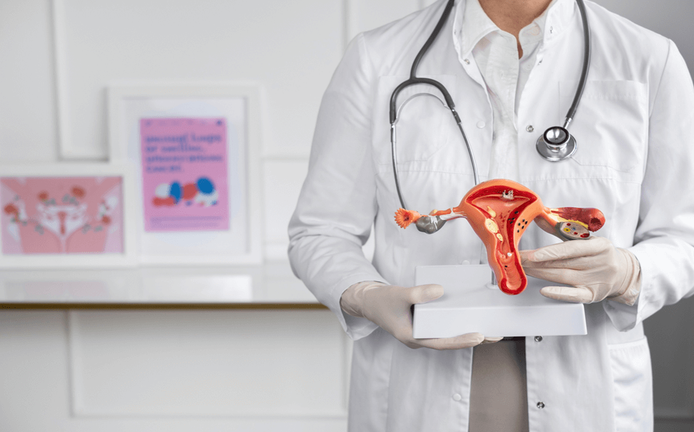 Hysterectomy
Surgical removal of the uterus to treat conditions like fibroids, heavy bleeding, or cancer, ensuring long-term relief and improved health.
READ MORE