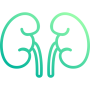 Urology 
Specialized care for urinary tract issues, kidney stones, prostate conditions, and male reproductive health using advanced diagnostic tools. READ MORE